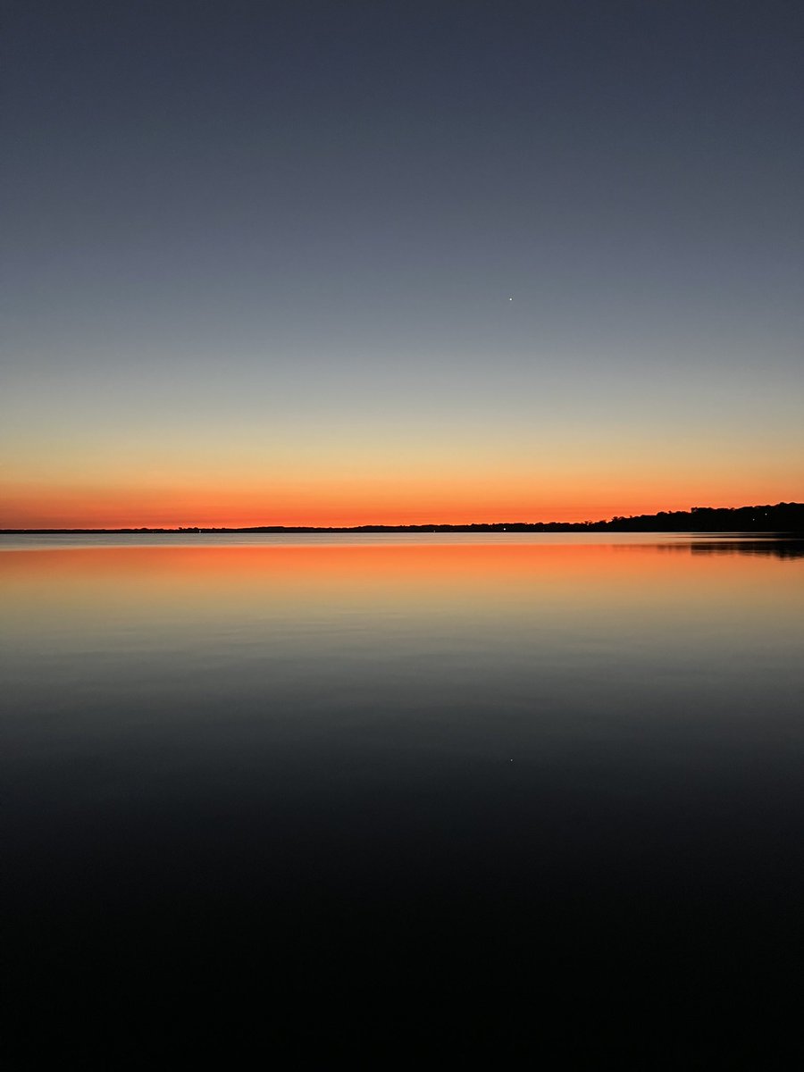 Danny Schoen tweet media