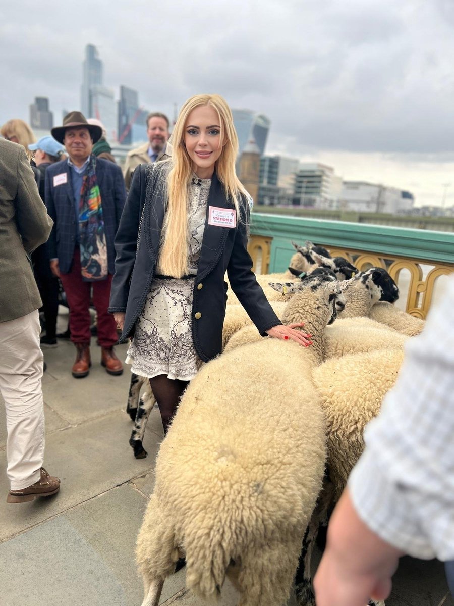 amgalojan's tweet photo. With The Rt Hon. The Lord Mayor of London, Alastair John Naisbitt King DL @citylordmayor, today at the timeless Sheep Drive. 🐑🇬🇧✨ @CityofLondon #sheepdrive #LondonTraditions” https://t.co/7xrczJq02P