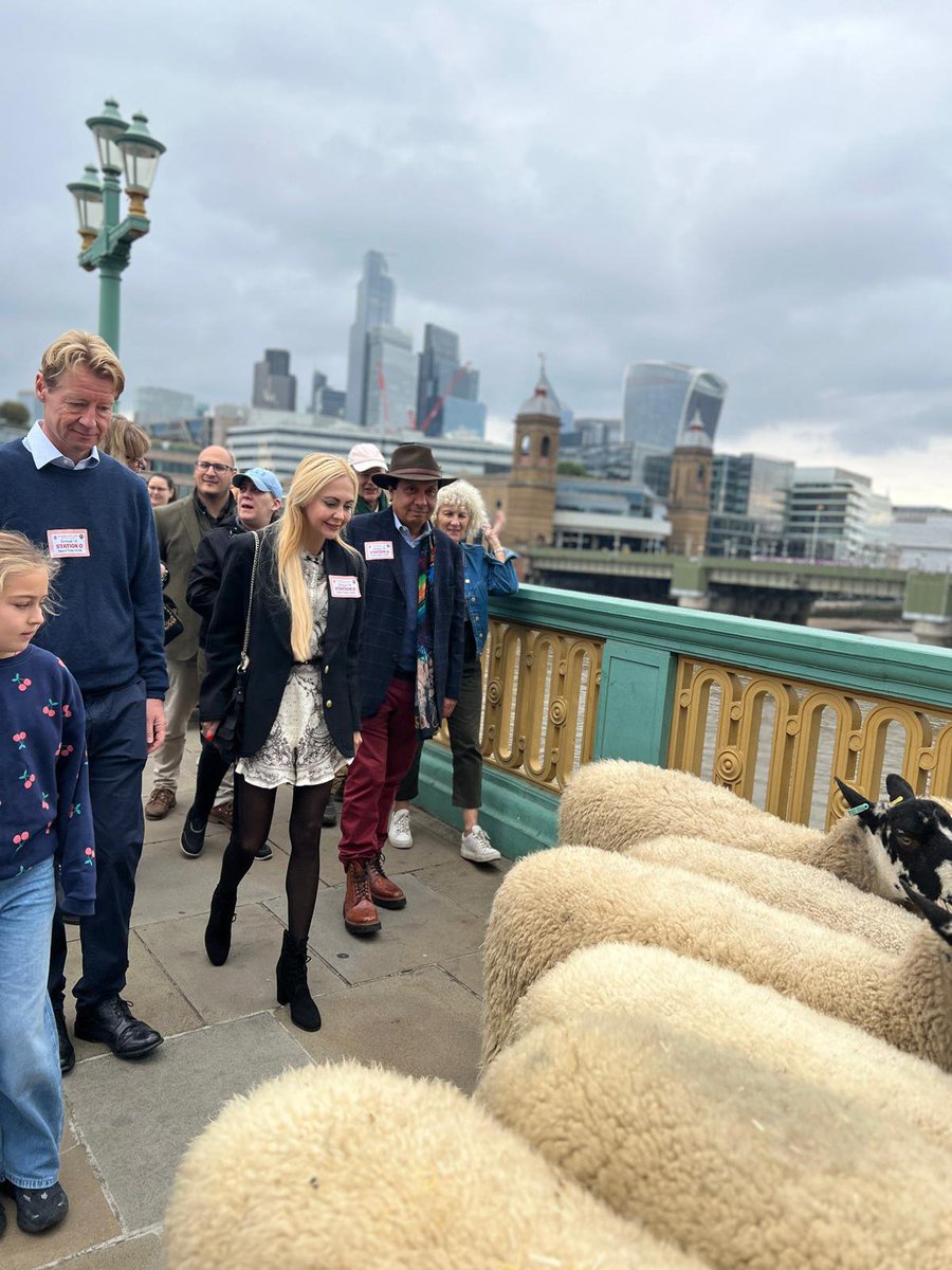 amgalojan's tweet photo. With The Rt Hon. The Lord Mayor of London, Alastair John Naisbitt King DL @citylordmayor, today at the timeless Sheep Drive. 🐑🇬🇧✨ @CityofLondon #sheepdrive #LondonTraditions” https://t.co/7xrczJq02P