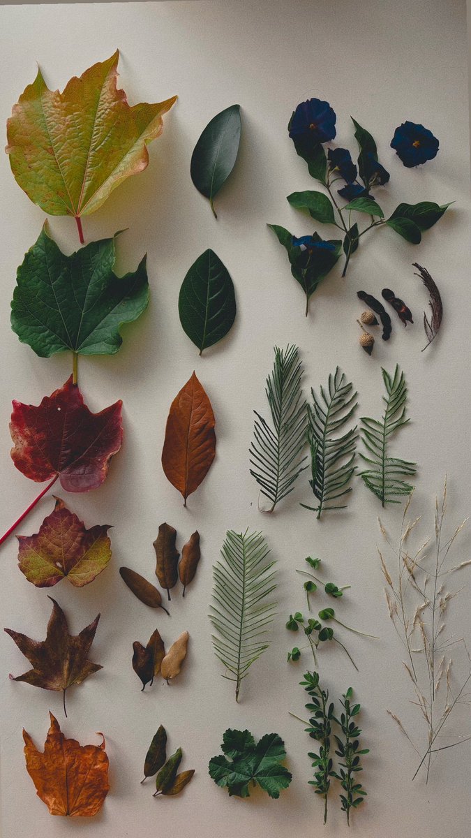 Un paseo. Tossa de Mar.
28 de septiembre de 2025.