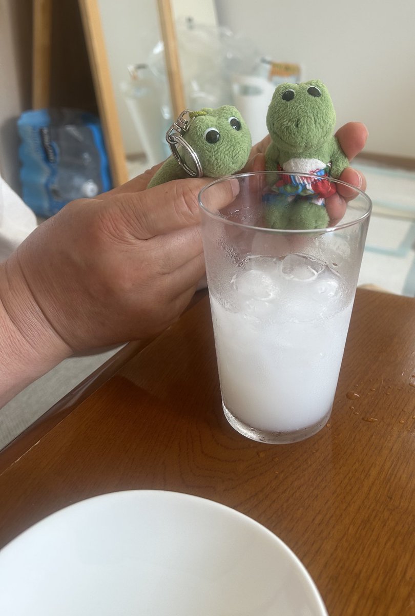 夫が銀だことミスド
買ってきてくれたので
カルピスウォーターでパーティ🐸🐸