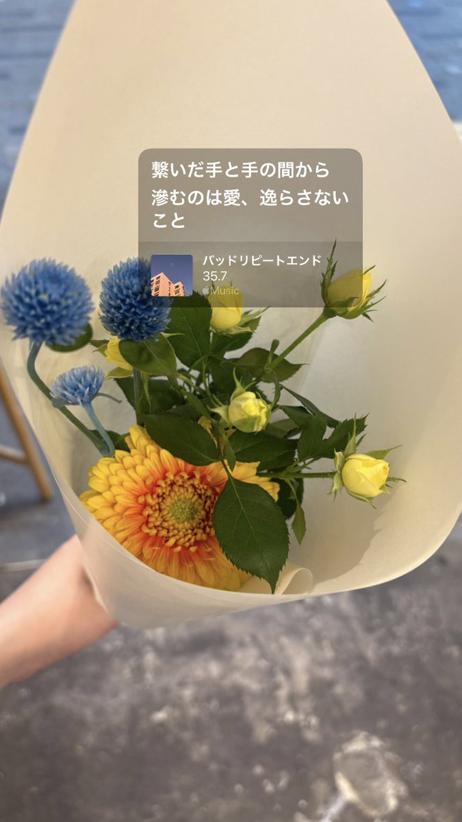 ちゃん tweet media