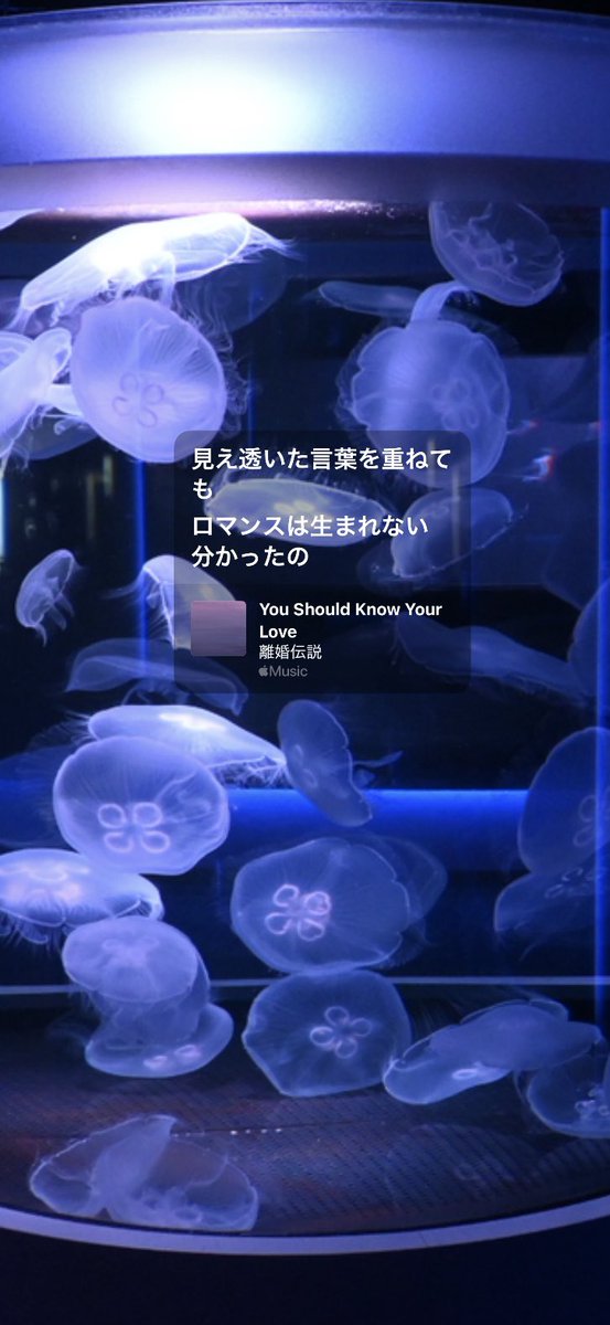 ちゃん tweet media