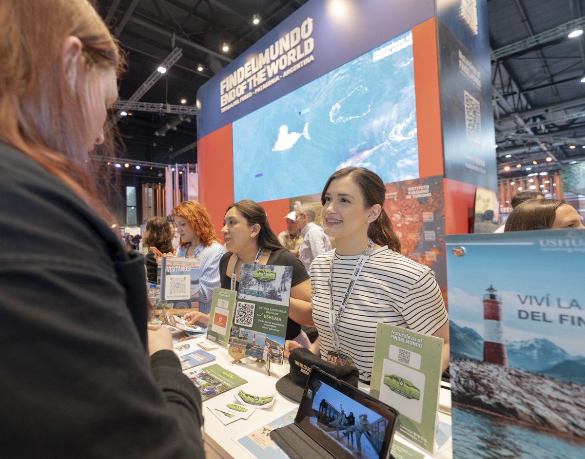 Willy Querciali tweet media