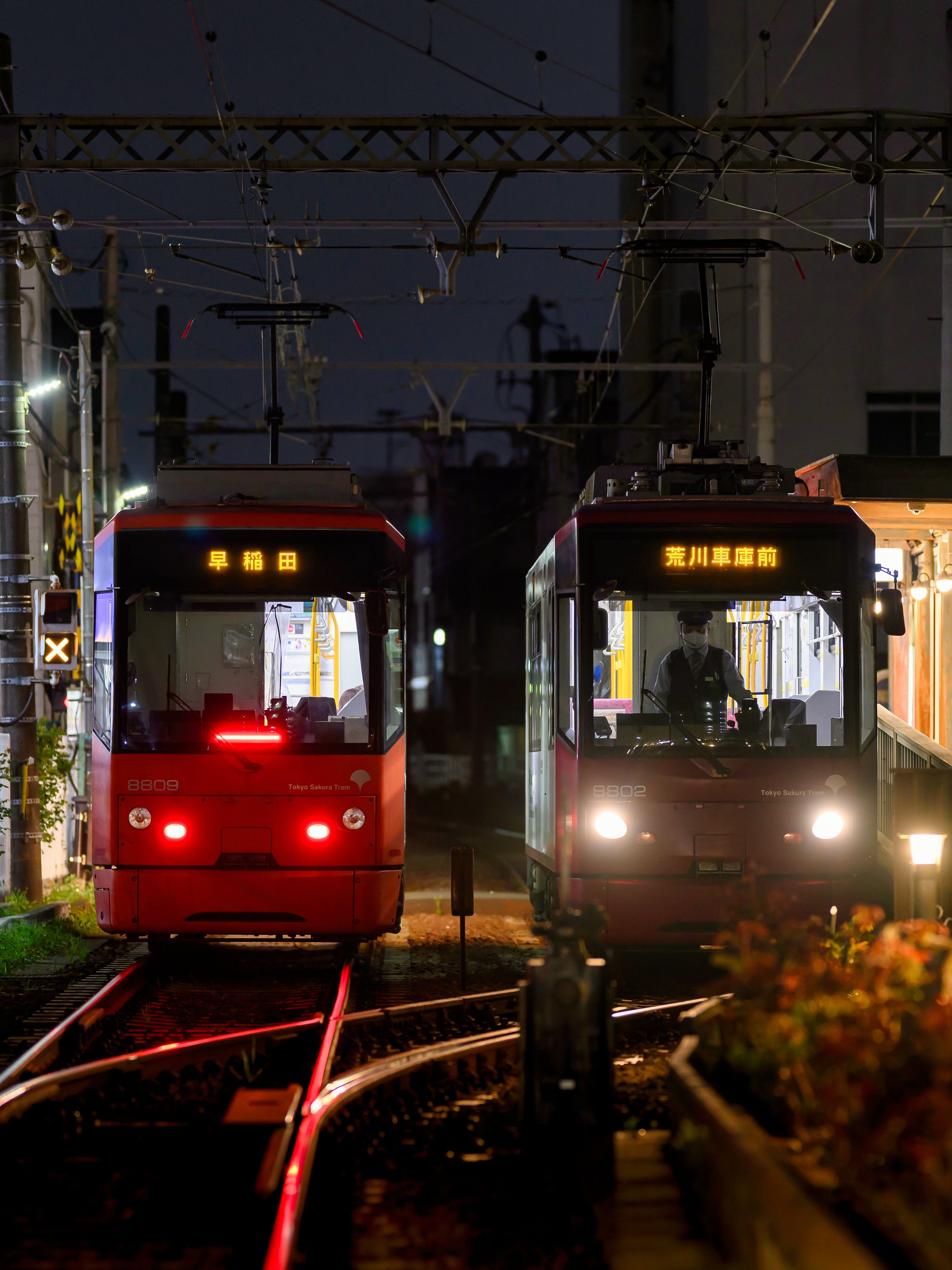 またたび新1号 on X: 