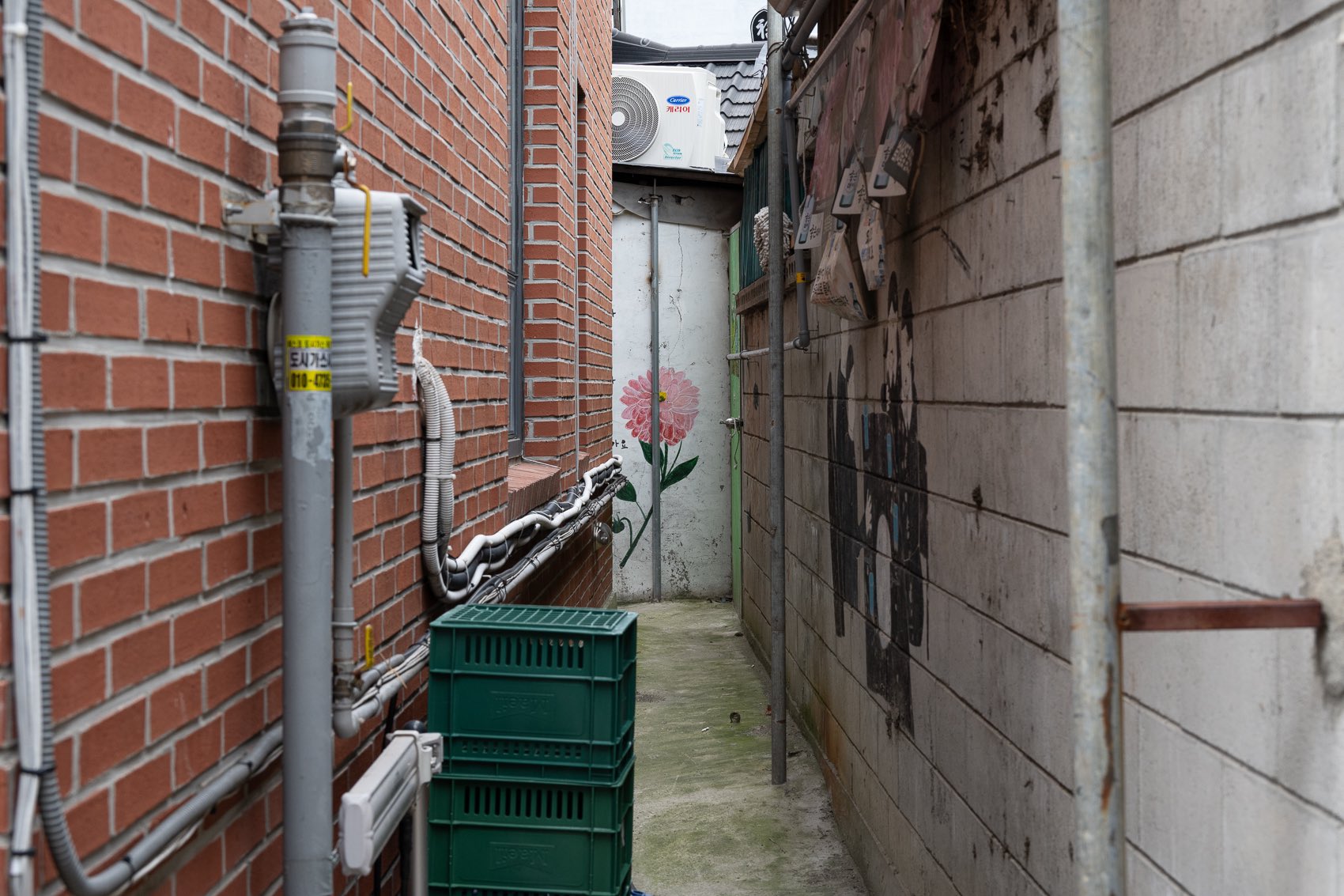 たけしページ たけし 𝕏 (@DCl5hZNTsSReyUm) / X