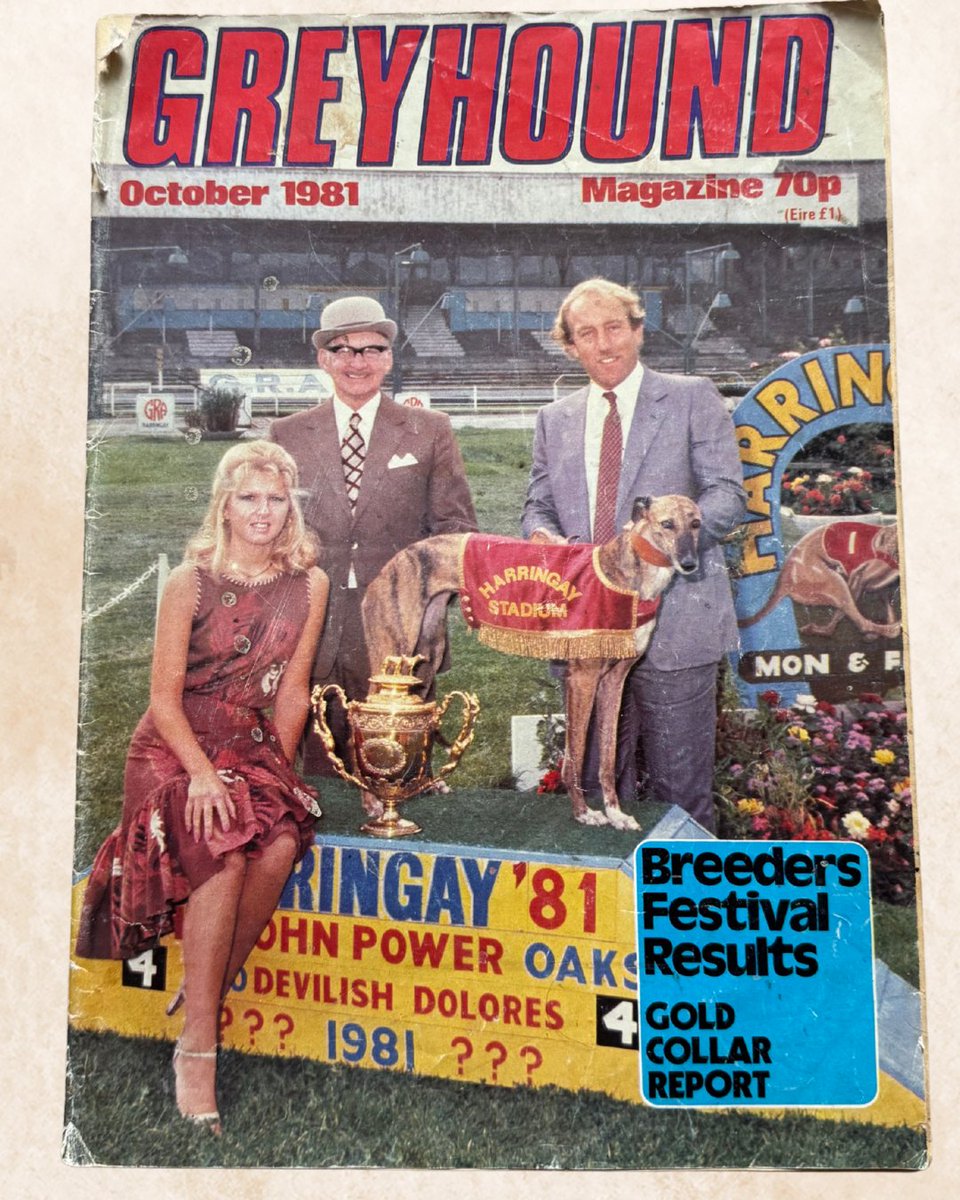 Towcester Racecourse Greyhounds tweet media