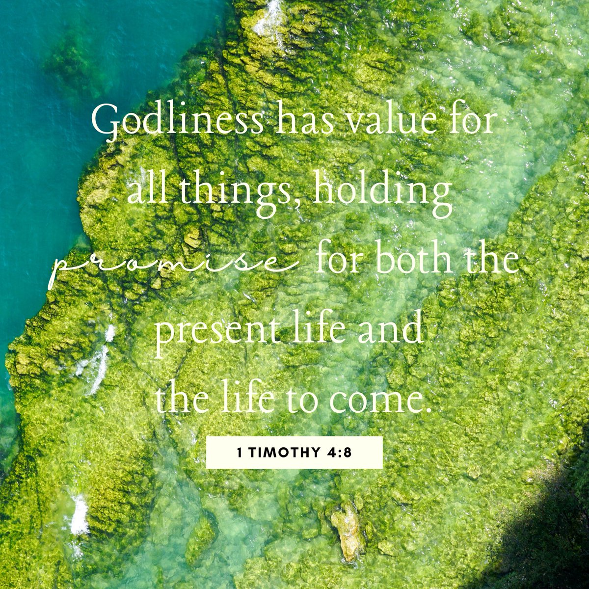 City Rescue Mission (@crmjax) on Twitter photo Scripture Sunday Scripture Sunday