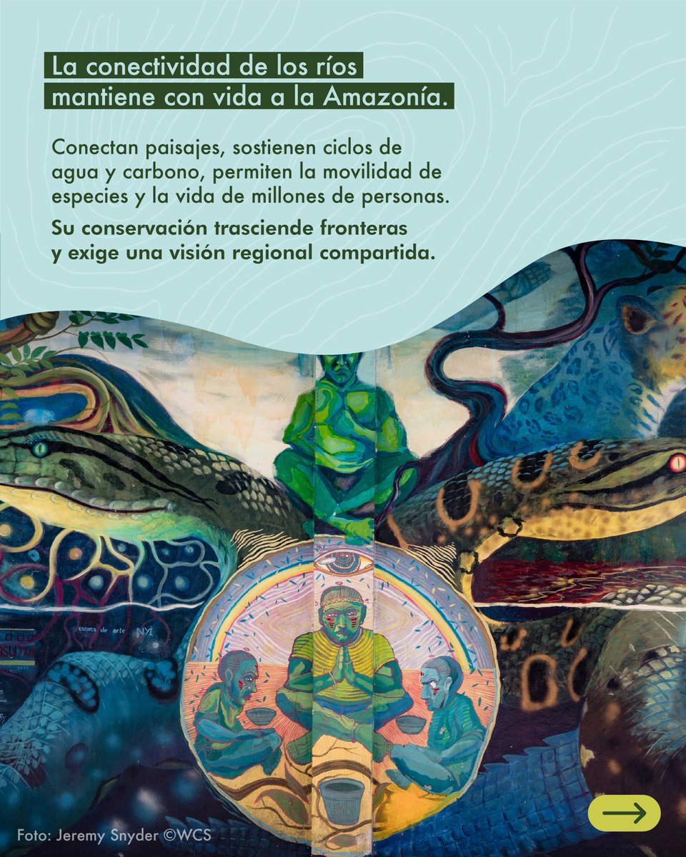 Los ríos amazónicos no son solo agua que fluye: son arterias que conectan ecosistemas, pueblos y culturas.

Su conservación trasciende fronteras y exige una mirada compartida.