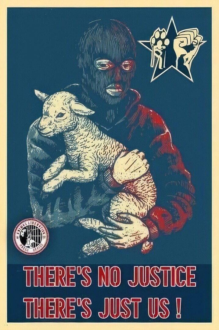 No Borders No Nations (@no_borders1312) on Twitter photo 