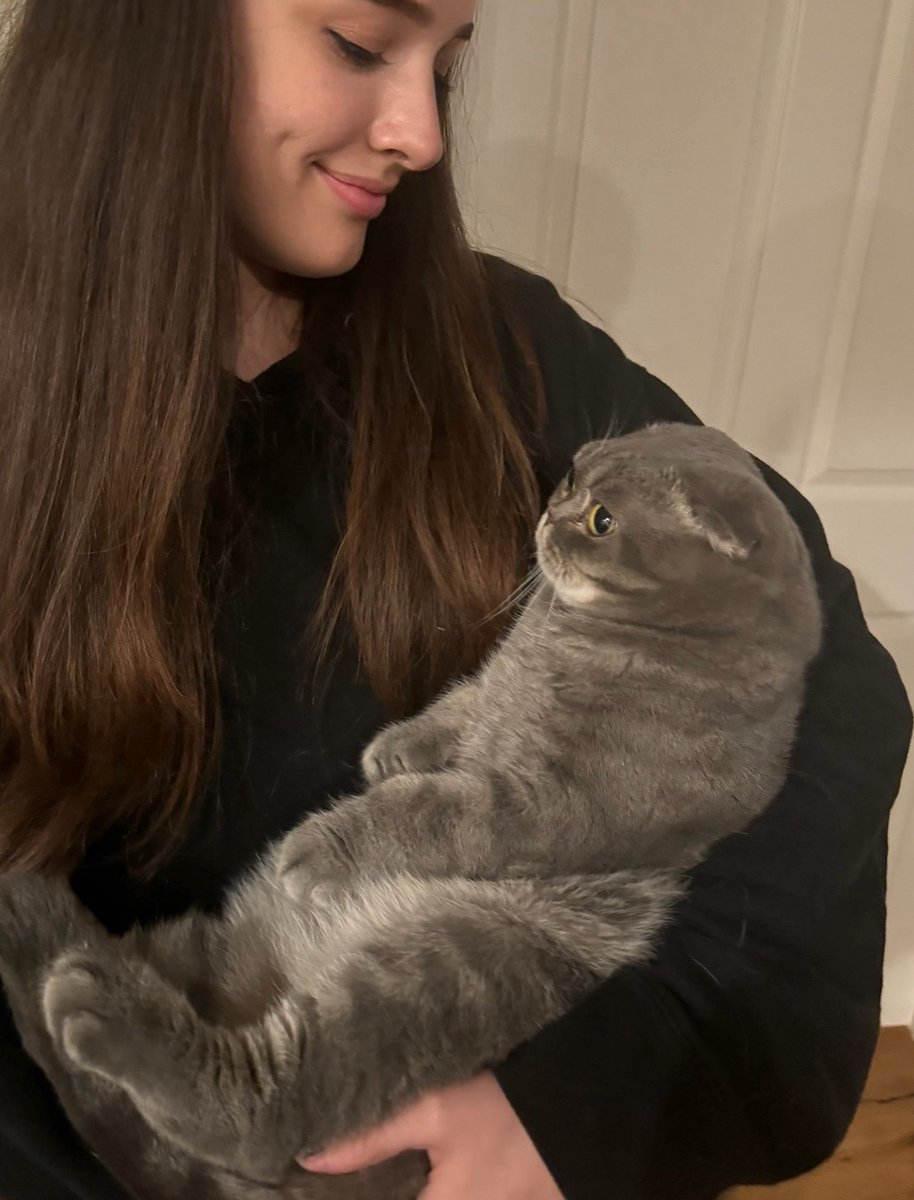 quirkdup's tweet photo. I’m watching the family cat at my place for a bit and my 14 year old sister who is really protective and stressed about it for no reason sent me this list and some of the bullet points got me dead because this cat really isn’t a cat it’s some 3rd thing that needs to be treated and held like a baby and  snores and cries loudly and and sits at 90° angles and likes belly rubbed
