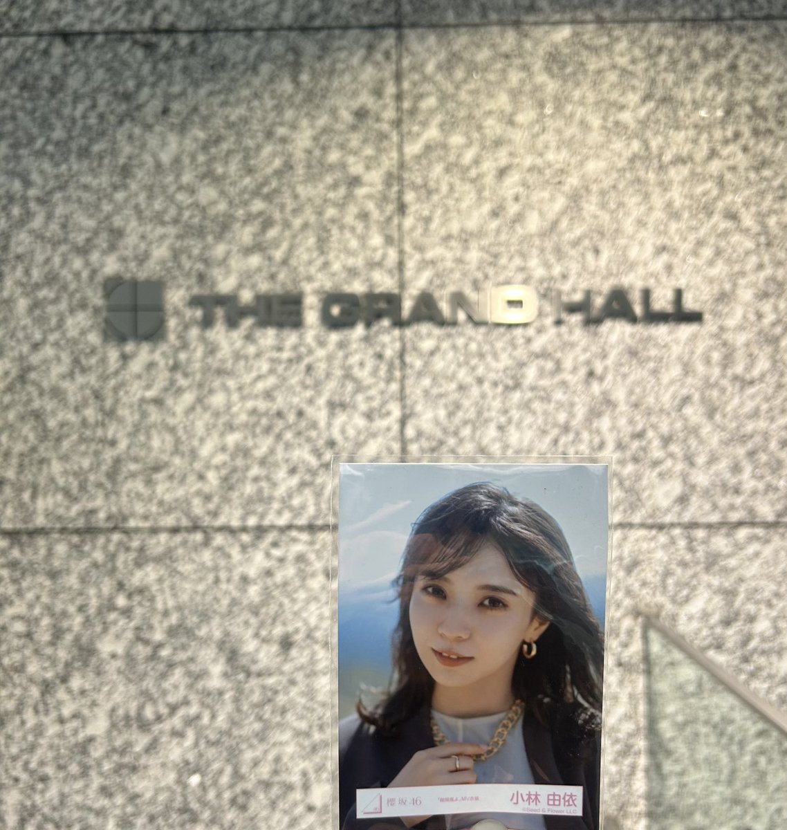 人生初リアミでyoustiあざした
復活してくれて歓喜
生由依さんバチ可愛い
初動緊張で声が出なかったけど気持ちは伝えられたし、1部から5部まで最高の時間でした！
またリアミ行きます
#小林由依
#yousti