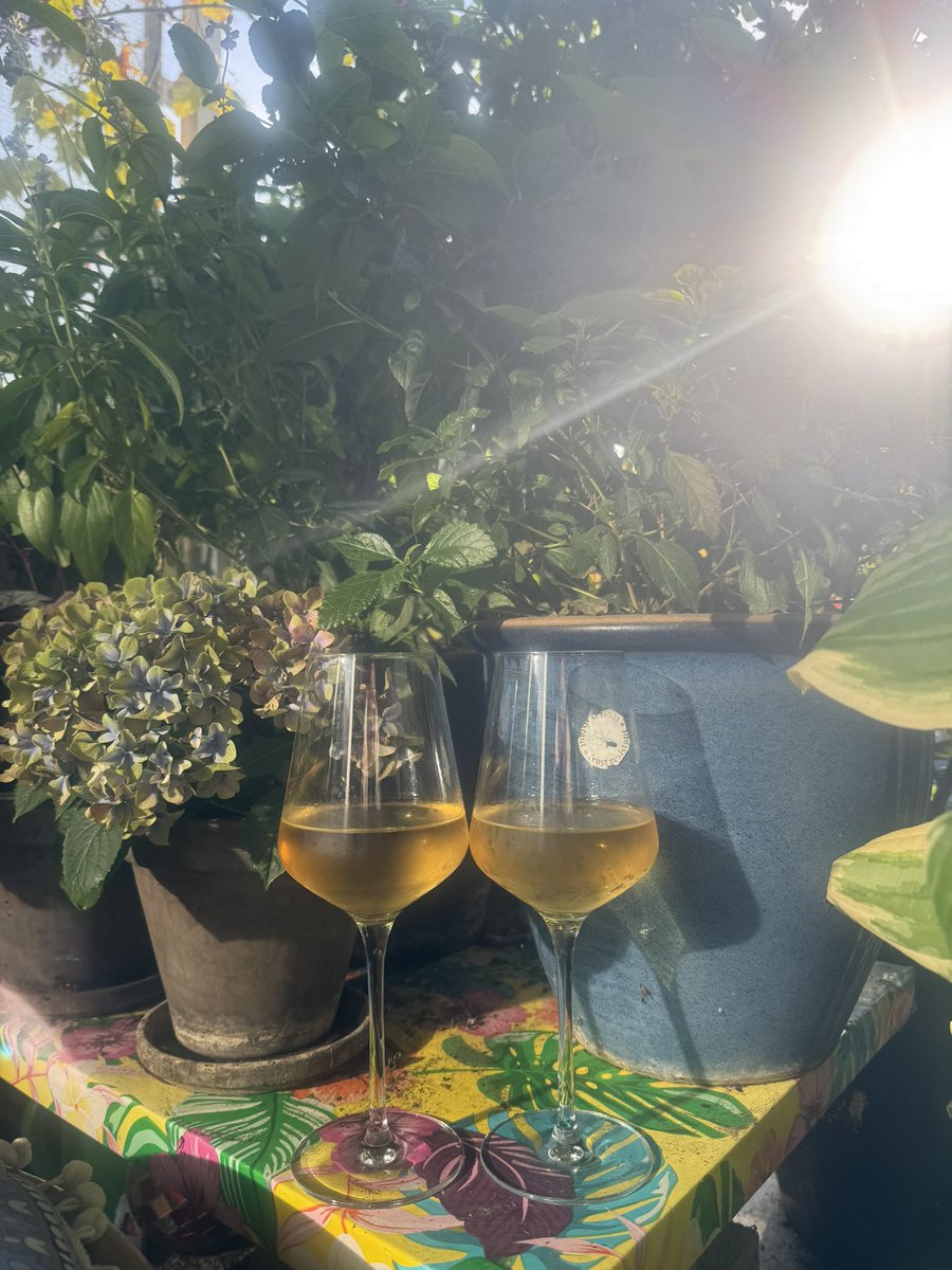 Gewoon een beetje nazomeren. #balkontweet ❤️