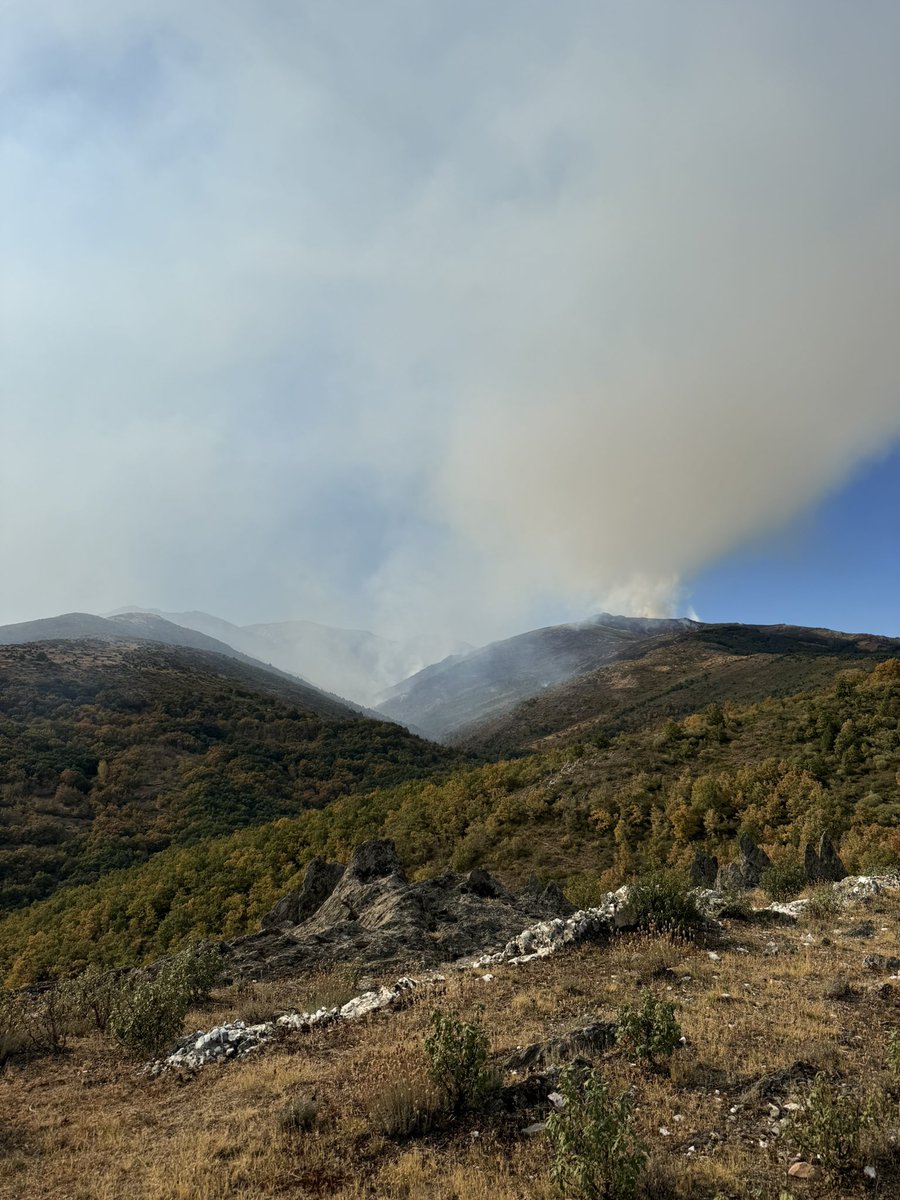 _NachoRedondo_'s tweet photo. Una buena noticia que haya empezado a llover en la Sierra Norte de Guadalajara.
Ojalá ayude a apagar el incendio de #penalbadelasierra
Tanto #penalbadelasierra como #Cabida están protegidas por los bomberos del @CEISGuadalajara y en el monte están de @Plan_INFOCAM
💪💪💪 https://t.co/4HnhIQR0d3