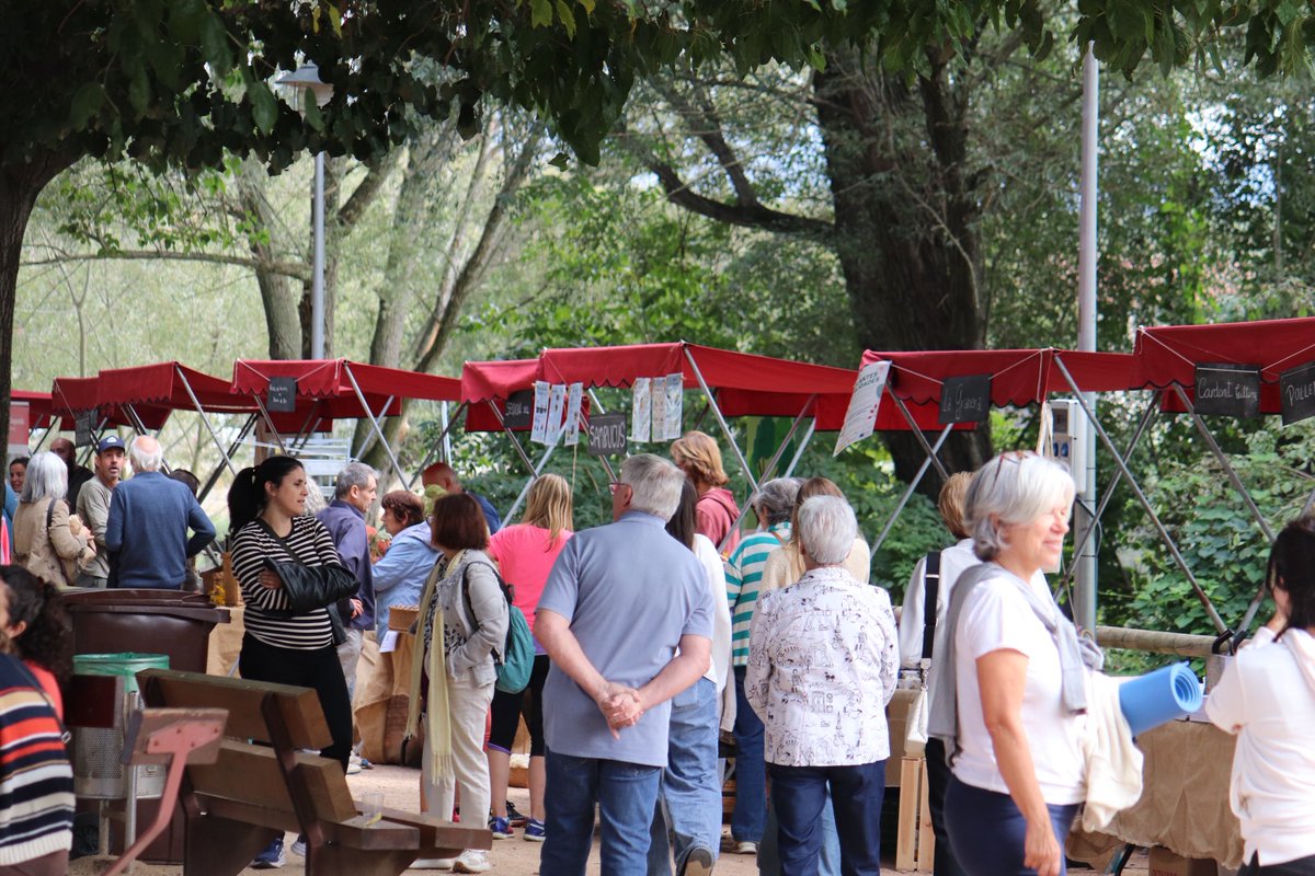 Xarxa alTERna't tweet media