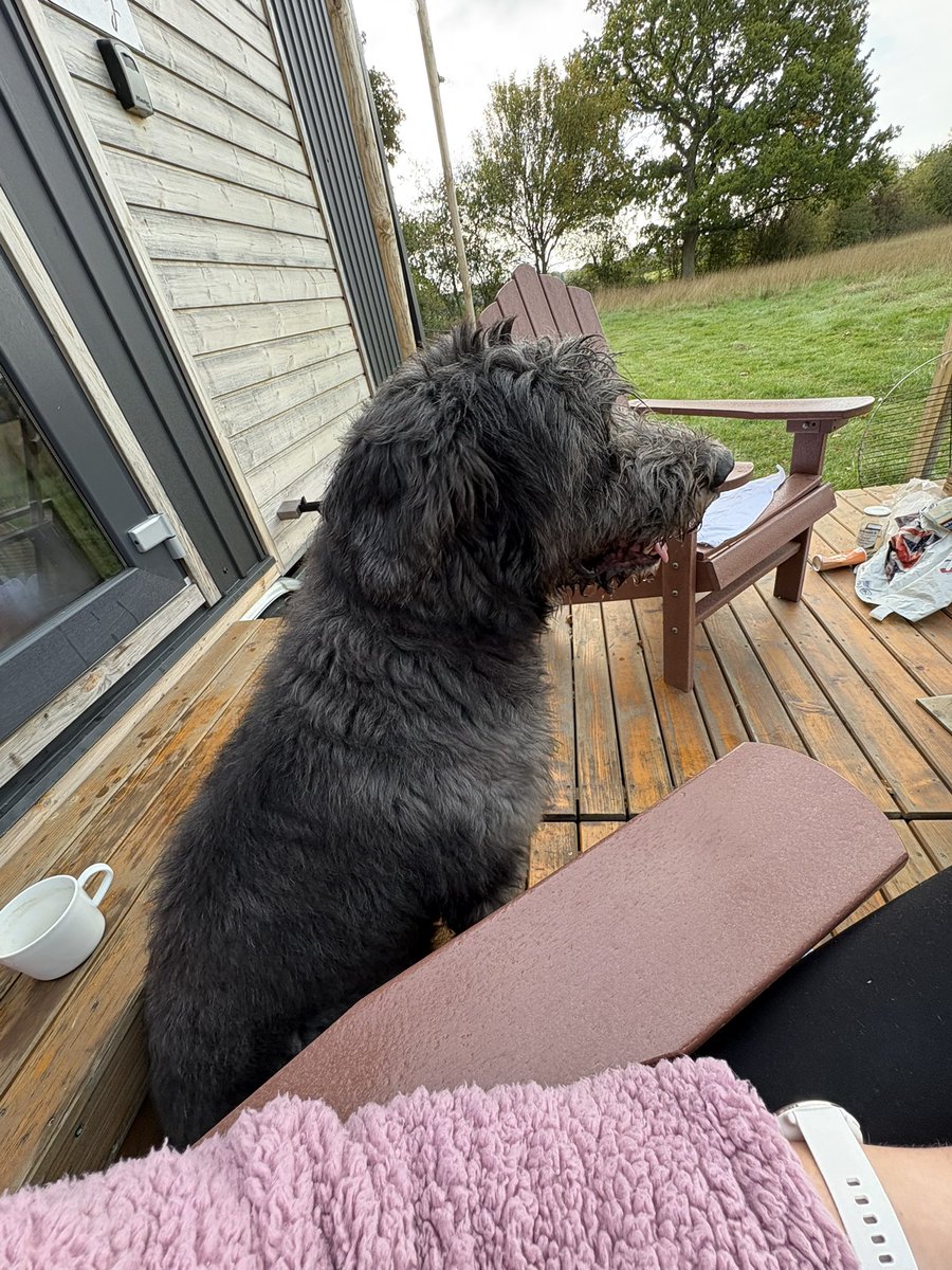 Living the dream with my pooch by my side 💚📖🌳🐾