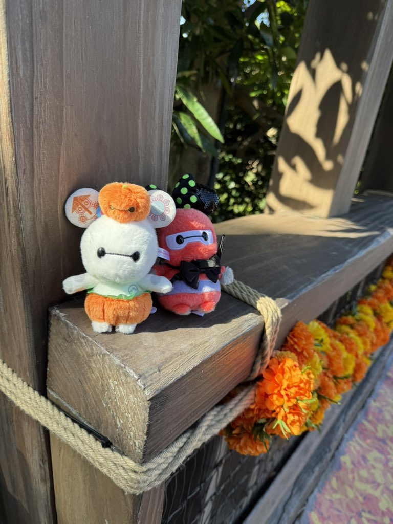 着せ替えを楽しんではウチの子可愛いと毎回なってる親バカ