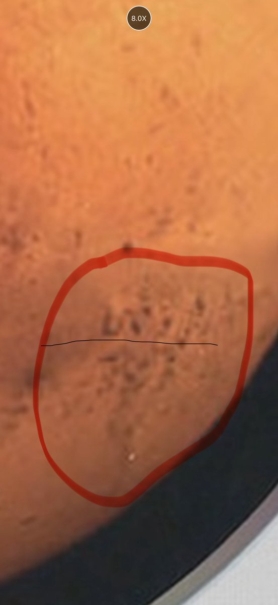 You tell me… am I just high?   Clearly that’s a dog..  ok. Fine. Now take that second photo and flip your phone upside down.  That’s a cat right? $vibecoin don’t fade.  You’re welcome. 

AZbem4s8iLJE5eniDZJ7c8q1ahbfMwWgCA8TxVW2tDUB