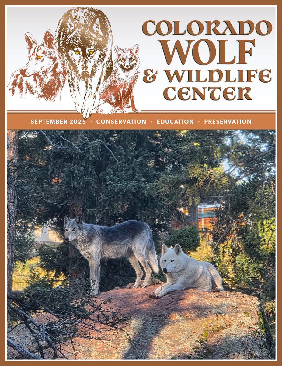 SamanthasLaw's tweet image. #CWWC Your September Newsletter has Arrived!
Enjoy &amp;amp; please share with your friends!
wolfeducation.org/_files/ugd/35f…