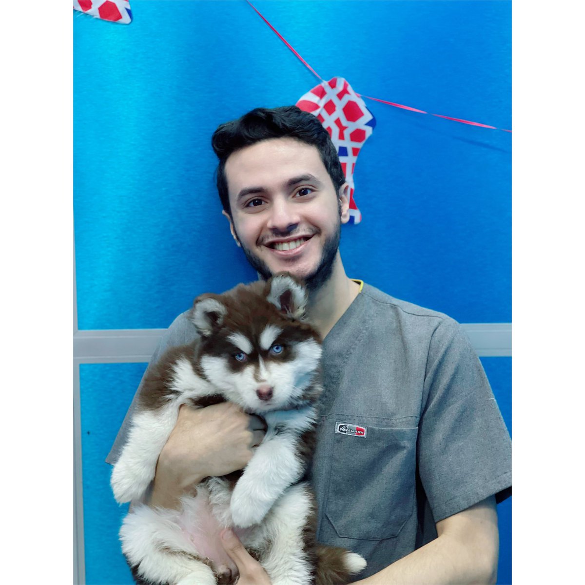 BessoMorad's tweet photo. 28/9 World Rabies Day 🐾💉 Protect your pets protect yourself. https://t.co/QYc5qMd2kB
