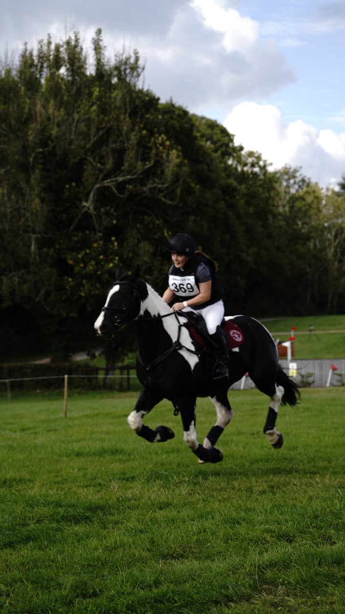 milf_gaard's tweet photo. Went to a cool horse show recently and used it as an opportunity to practise my photography for the first time in ages 🙏 https://t.co/JIgI04WCmG