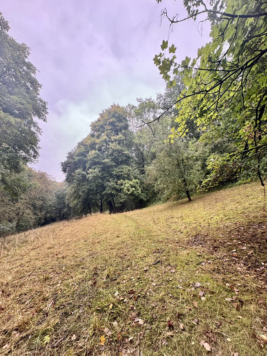 Die Herren sind auf der vorletzten Fläche im Park für dieses Jahr, wie ihr sehen halten sie die Flächen nun schön offen.