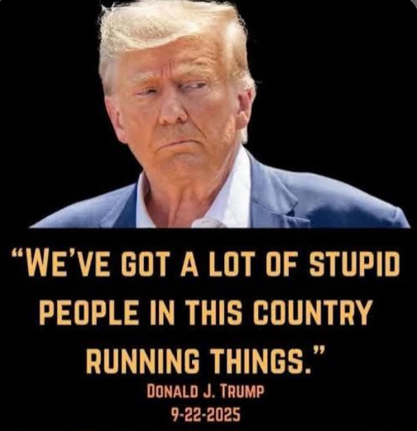Just saying tweet media