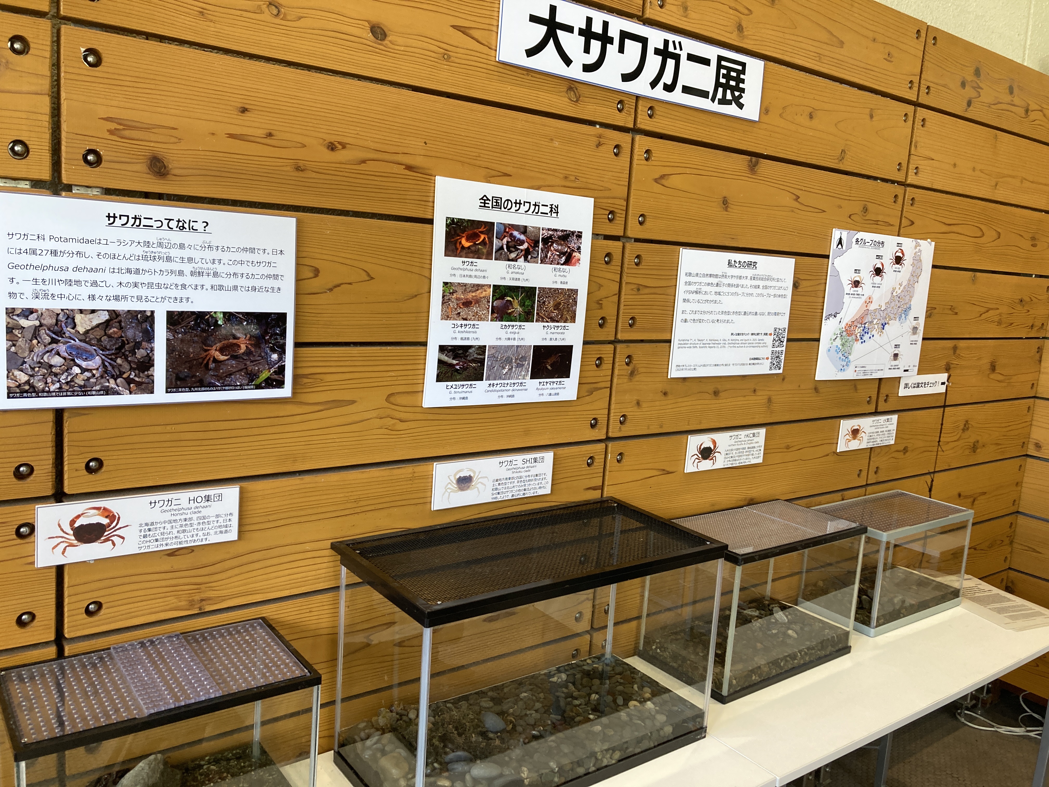 中観荘厳論の研究 オックスフォード&ケンブリッジ大学 世界一「考えさせられる