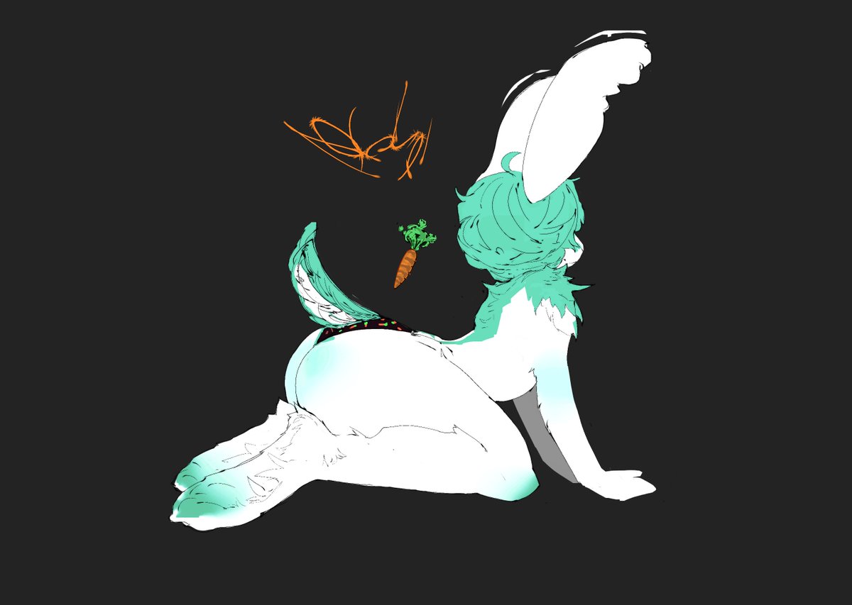 i gave the bun carrot undies i think its awesome and cool and shes pretty and