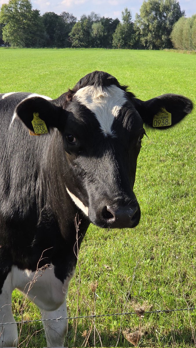Nieuwe buren 🙃🙂