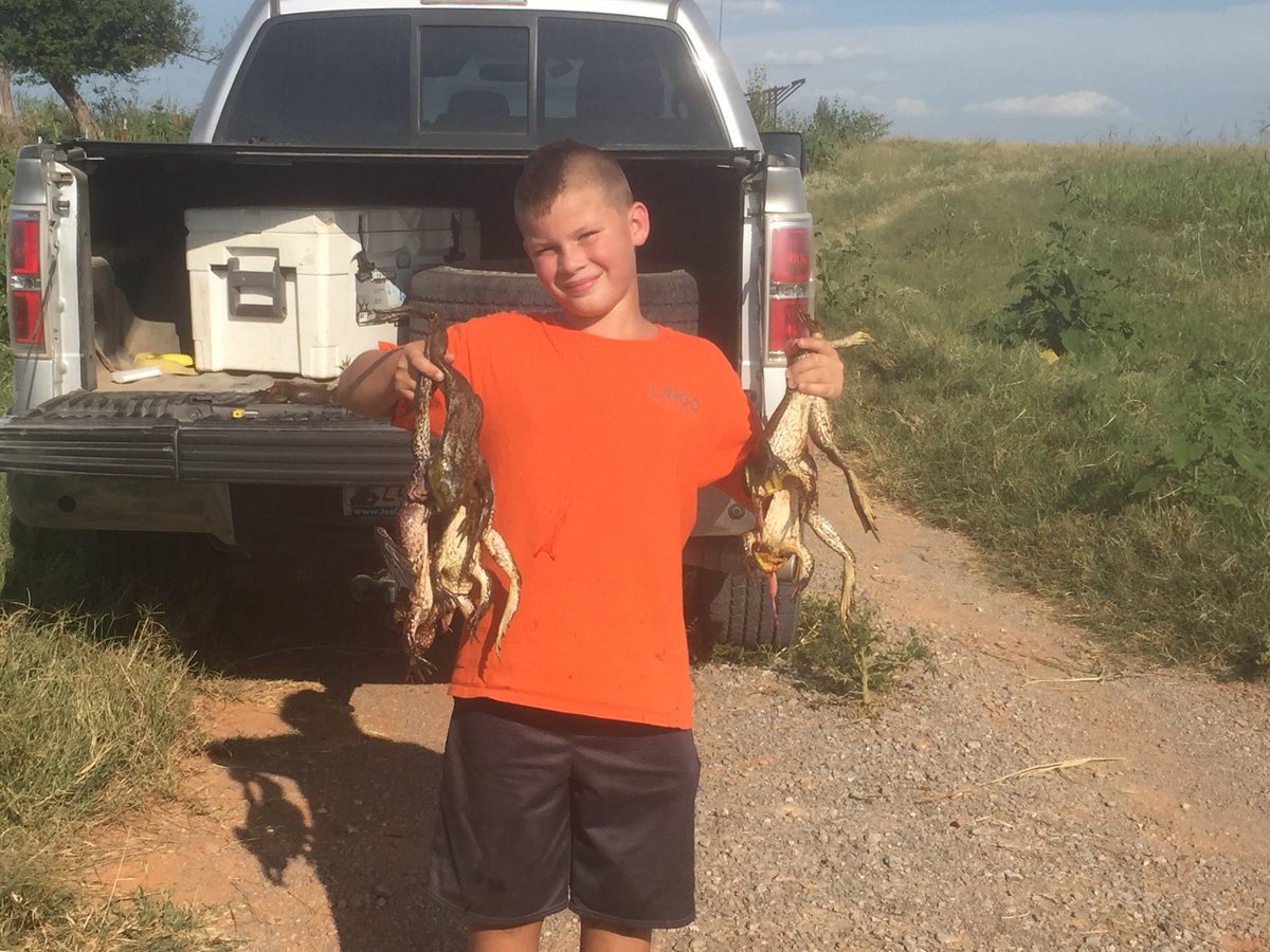 Popbetts tweet media