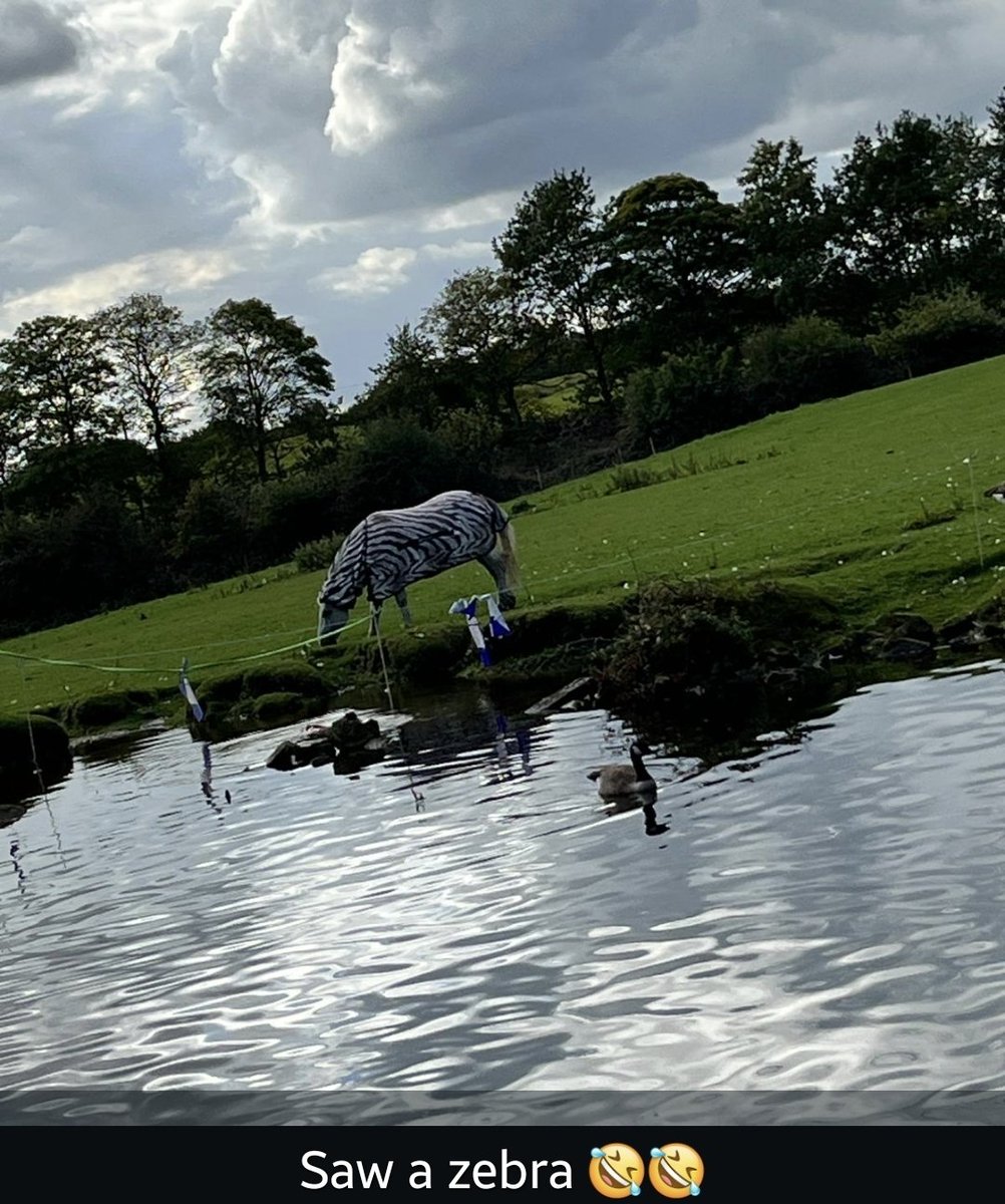 The Dalai Palmer tweet media