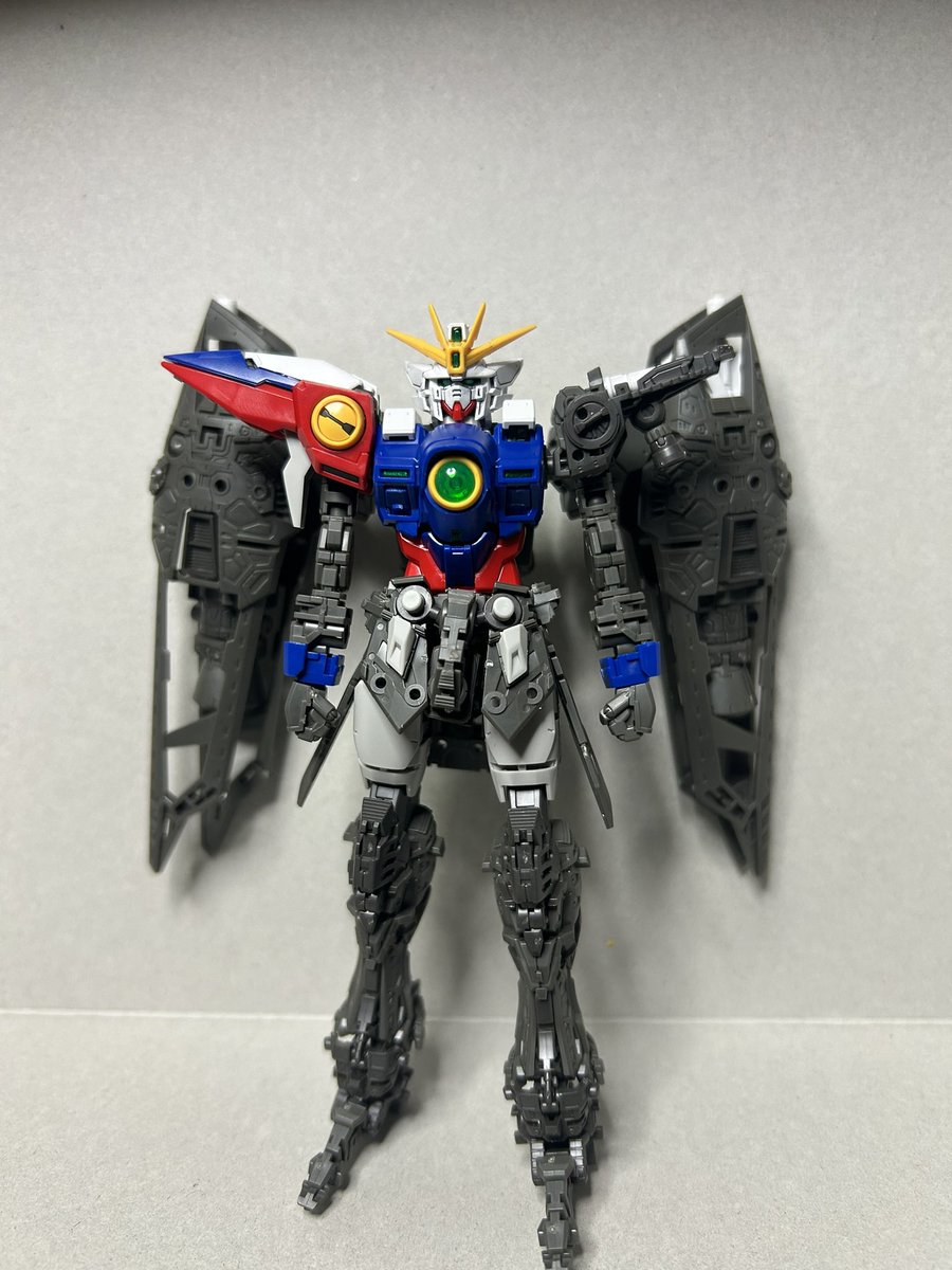 キバゴ 71usTG8HfvL.jpg_BO30,255,255,