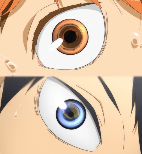 daily kagehina tweet media