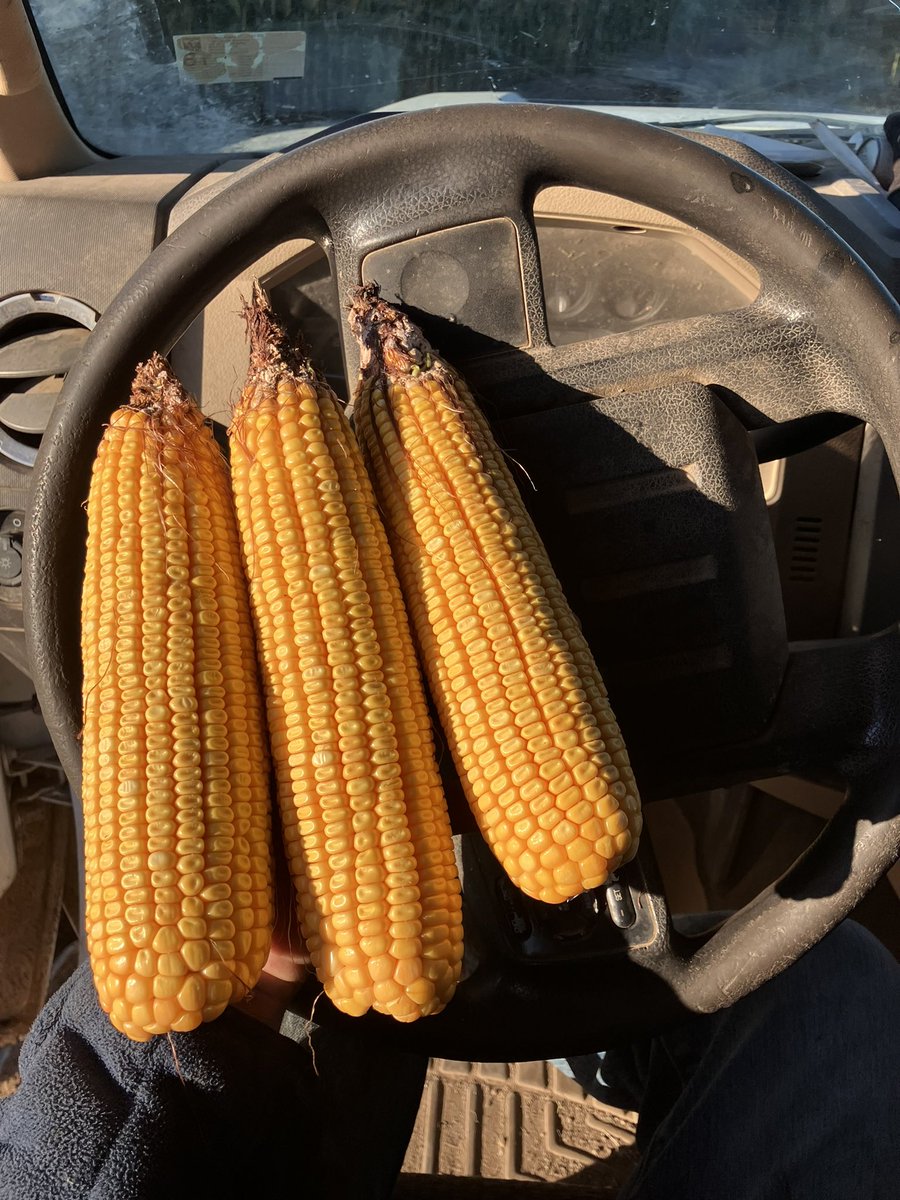 AgVenture High Plains ®️ tweet media
