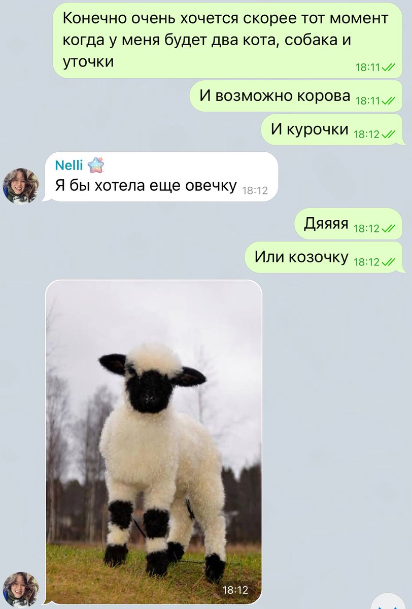 Чат с друзьями, когда вам за 30: