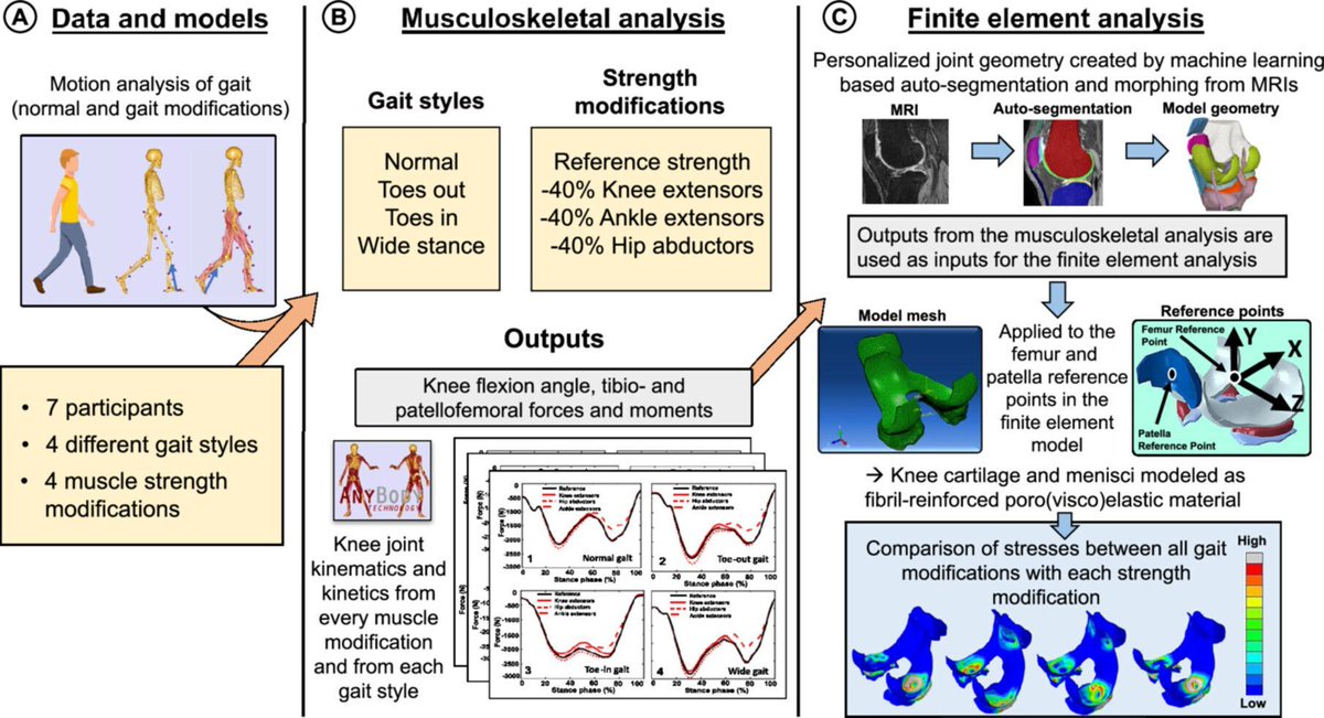 Lawrence Lau tweet media