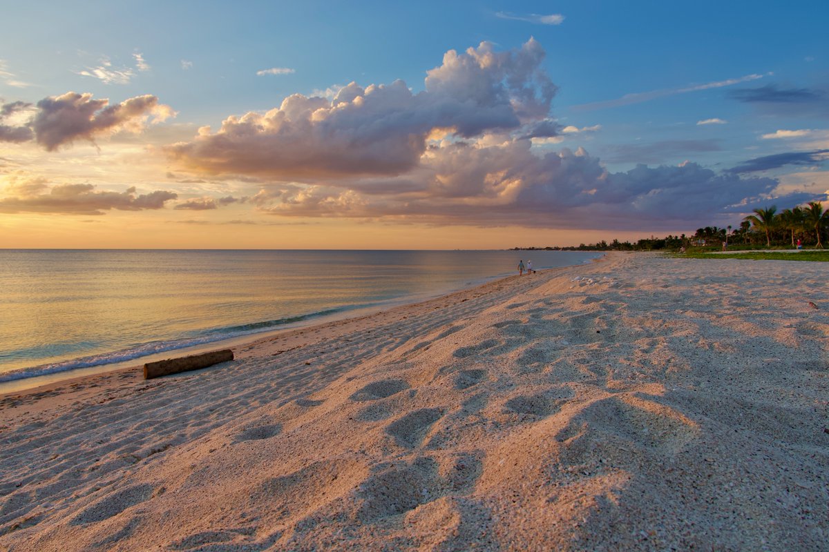 DeepGreens2's tweet image. #SundaySharing #PhotoOfTheWeek #Photography