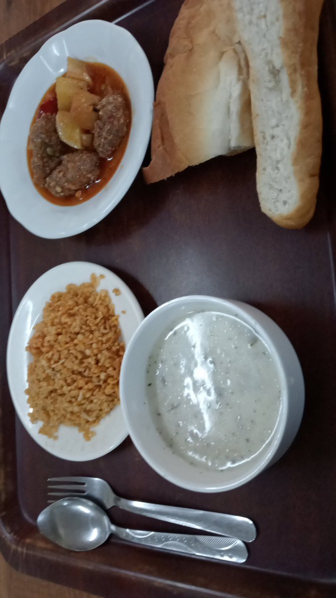 Kyk menü arkadaşlar. üzüm ve su da var ama üzüm almadım.