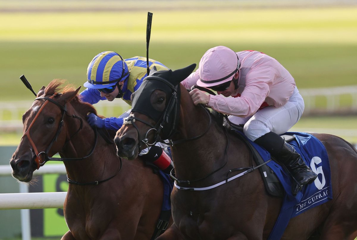 🥂 Success in the <a href="/KeadeenHotel/">The Keadeen Hotel</a> Nursery Handicap for Invincible Will rewarding trainer <a href="/gavincromwell1/">GavinCromwell Racing</a> and jockey Gary Carroll . 

A memorable win for the team! 
Well done to all connections. ✨👏