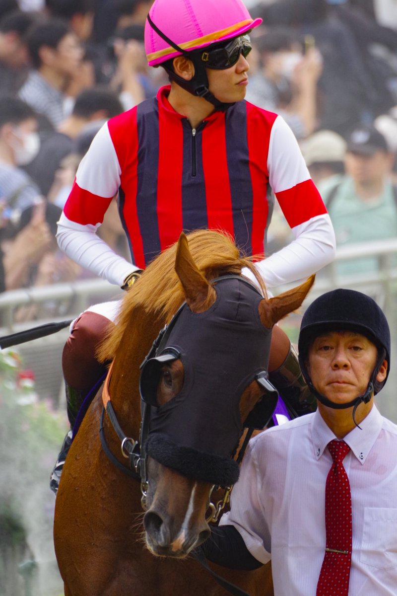 makeinu0110's tweet photo. #スプリンターズステークス

クレア推しなので正直少し悔しかったけど
#三浦皇成　#ウインカーネリアン　
コンビのG I勝利見せられたらしょうがないわー

馬券関係なしに自然と
スタンドから万雷の拍手が起きて
すごく良かった

#PENTAX #K70 #photography https://t.co/5uefazyVjq