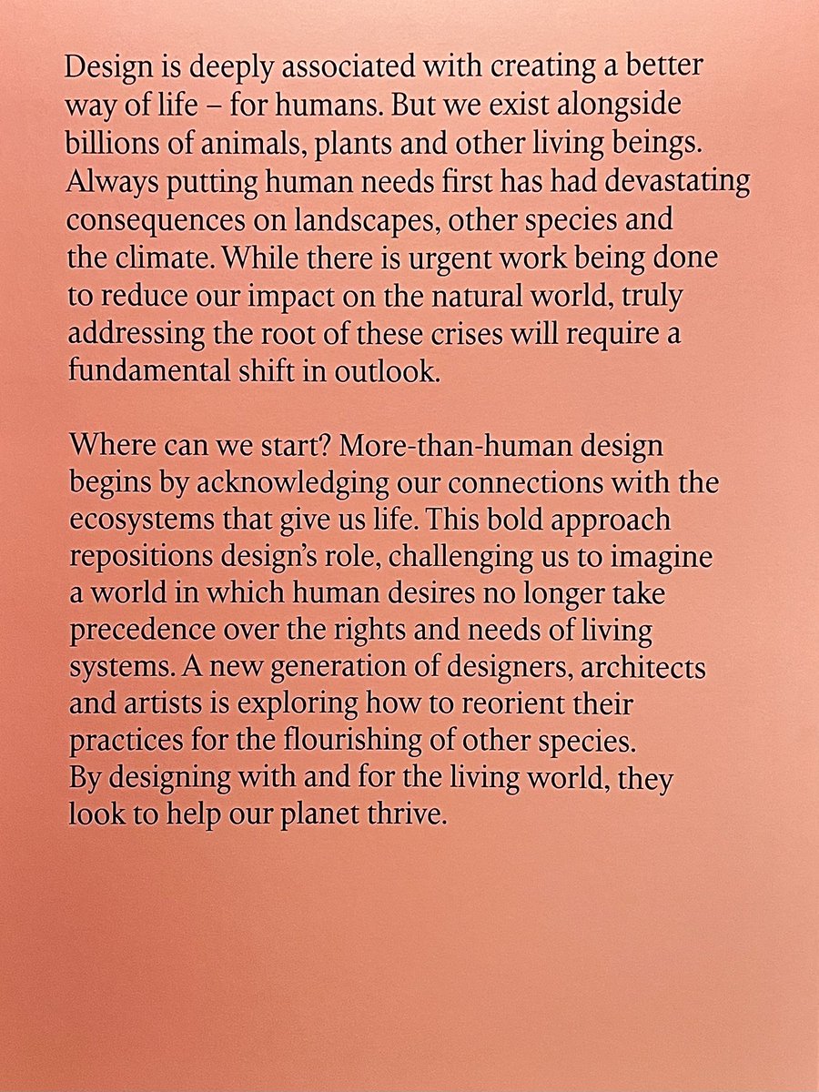 A Sunday visit to More than Human exhibition at the Design Museum 

#morethanhuman <a href="/DesignMuseum/">the Design Museum</a>