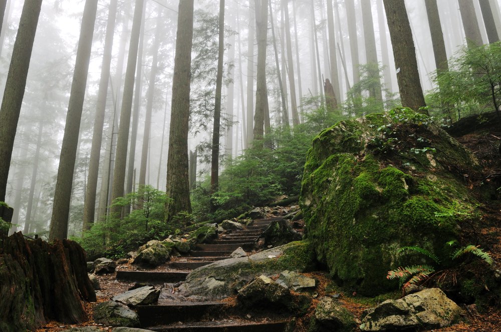 Canada's tweet image. Up for a challenge? Check out the #GrouseGrind trail in North Vancouver, also known as “Mother Nature’s Stairmaster.” While this trail is only 2.5 kilometres long, it has 800 metres of elevation and a total of 2830 stairs! What’s the hardest Canadian hike you’ve ever done? 🥾⛰️
