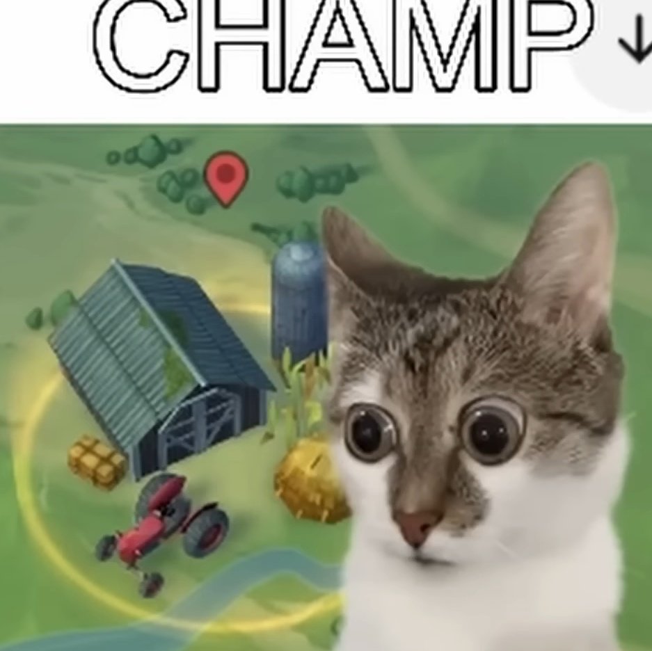 Sin clase mañana, toca agarrar la pala