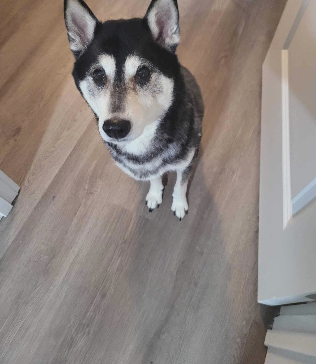 How may I help you today?