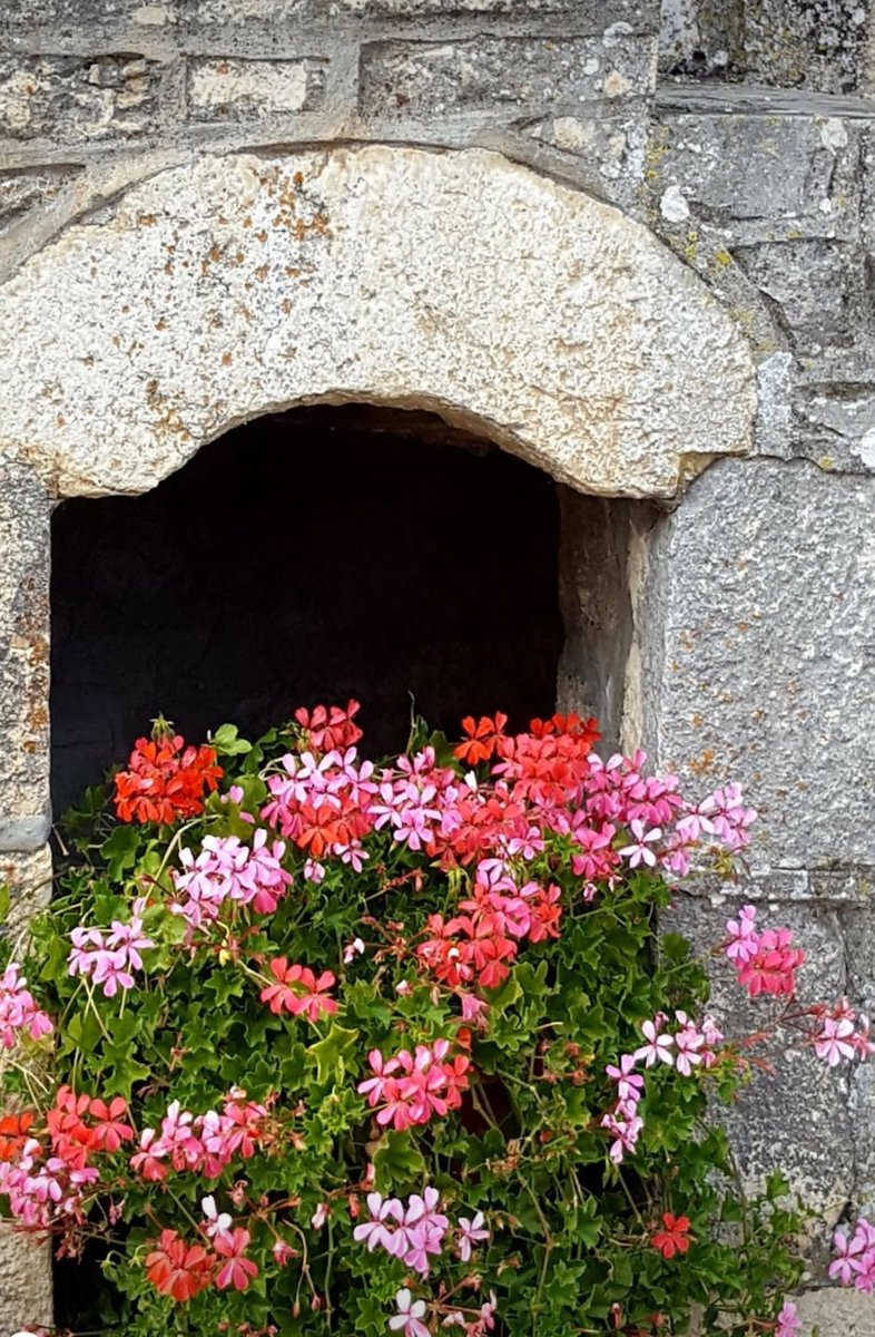 Maria Lea tweet media