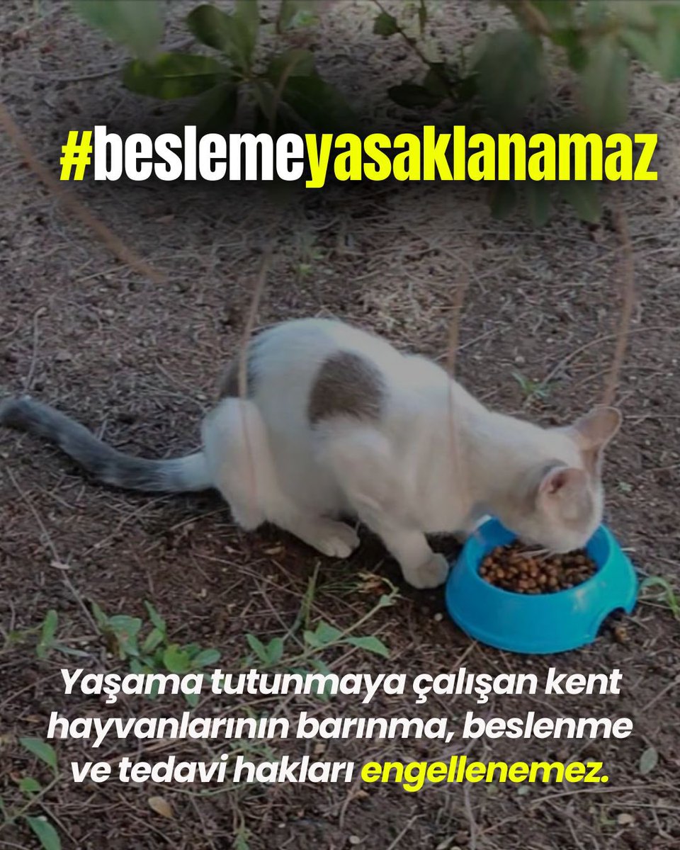 Besleme yasaklanamaz!
#Beslemeyasaklanamaz

<a href="/ValiSelcukAslan/">Selçuk Aslan</a>
<a href="/duzce_valiligi/">Düzce Valiliği</a>
<a href="/kocaelivaliligi/">TC Kocaeli Valiliği</a>
<a href="/kubrayigitbasi/">Doç. Dr. Kübra Güran Yiğitbaşı</a>
<a href="/AfyonValiligi/">T.C. Afyonkarahisar Valiliği</a>
<a href="/AkcakocaKymkm/">Akçakoca Kaymakamlık</a> 
<a href="/duzcebld/">Düzce Belediyesi</a>
