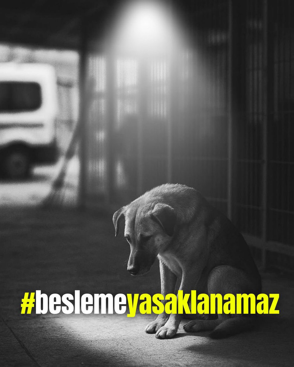 HAKİM - Hayvan Hakları İzleme Komitesi tweet media