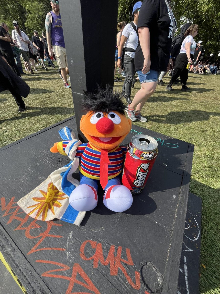 Un Muppets uruguayo cantó con Green Day.  

Sabiendo que otros seguidores le habían lanzado Ernie’s en otros conciertos, me propuse un objetivo: llevar el mío al Festival Riot de Chicago.
Cantó una estrofa de Boulevard Of Broken Dreams junto a Billie Joe.