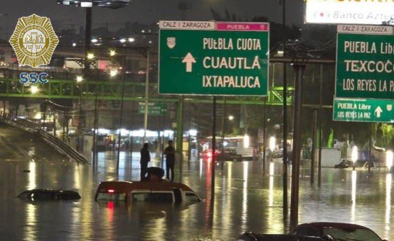 Así es como se ven los conciertos gratuitos de la CDMX: 

😯😯😯